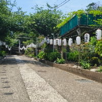 朱同学