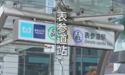 青山国际教育学院