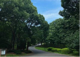 北京大使馆日本留学签证办理